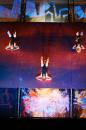 Walldance Couleurs 11 * 4368 x 2912 * (5.55MB)